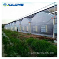 Greenhouse Multi Span Greenhouse Greenhouse Hydroponic